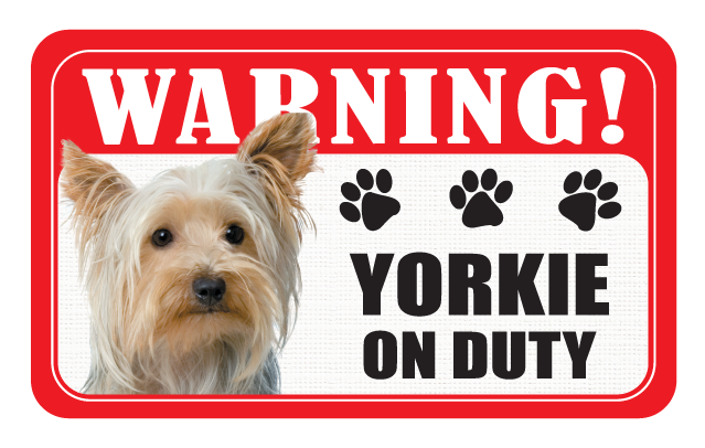 Yorkie