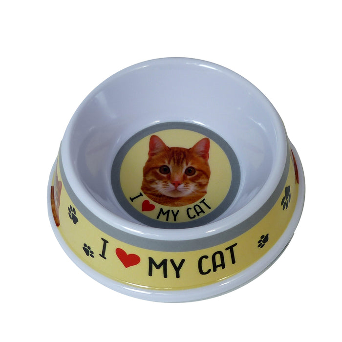 Pet Cat Feeding Bowl