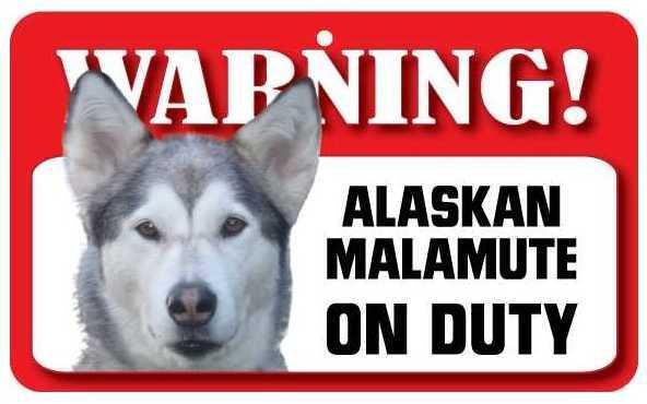 DS003 Alaskan Malamute Pet Sign