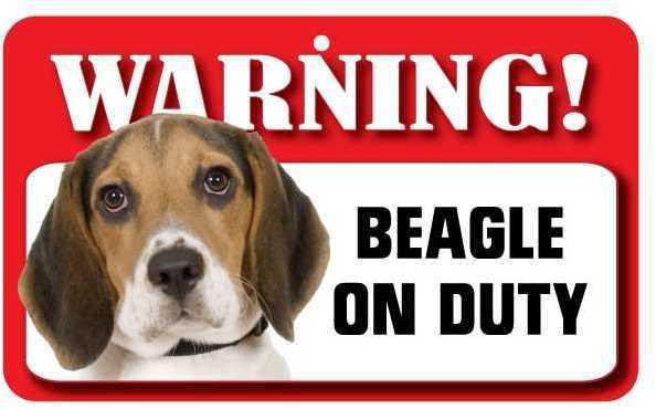 DS005 Beagle Pet Sign