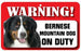 DS007 Bernese Mountain Dog Pet Sign