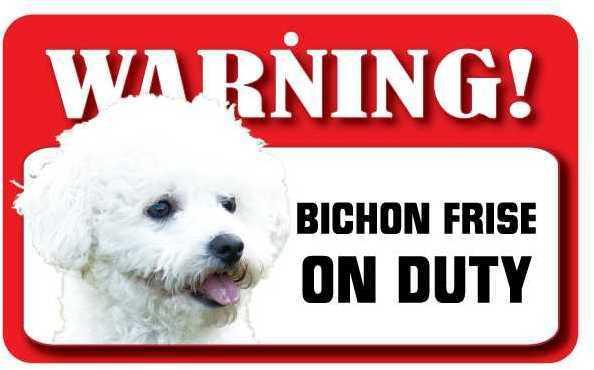 DS008 Bichon Frise Pet Sign