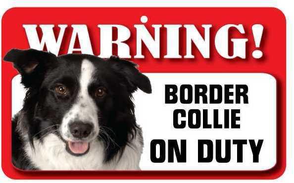 DS009 Border Collie Pet Sign