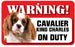 DS016 Cavalier King Charles Spaniel Pet Sign