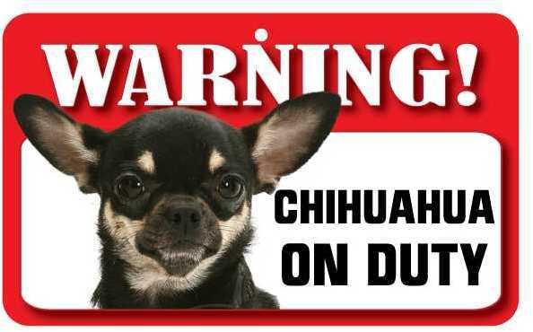 DS019 Multi Coloured Chihuahua Pet Sign