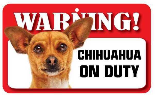 DS020 Tan Chihuahua Pet Sign