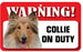 DS022 Collie Pet Sign