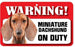 DS024 Smooth Haired Miniature Dachshund Pet Sign