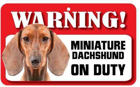 DS024 Smooth Haired Miniature Dachshund Pet Sign