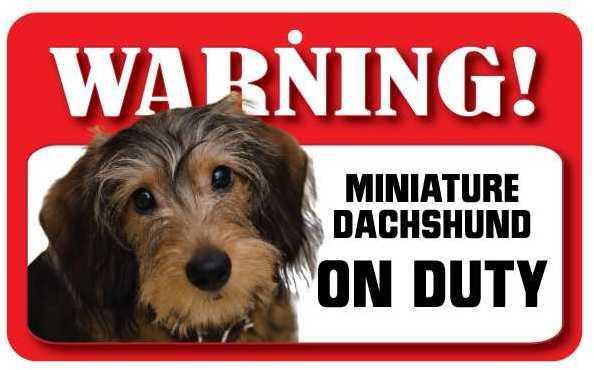 DS025 Wire Haired Miniature Dachshund Pet Sign