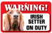 DS038 Irish Setter Pet Sign