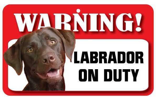 DS044 Brown Labrador Pet Sign