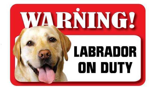 DS045 Yellow Labrador Pet Sign