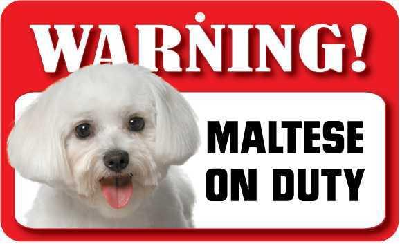 DS049 Maltese Pet Sign