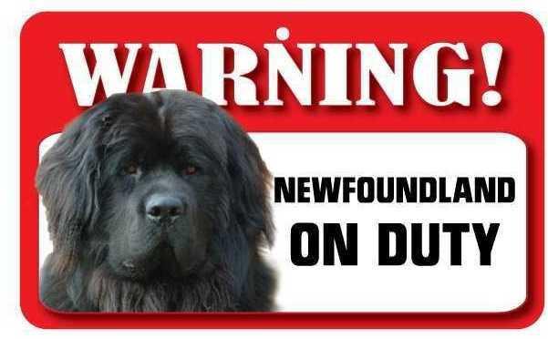 DS052 Newfoundland Pet Sign