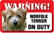 DS053 Norfolk Terrier Pet Sign