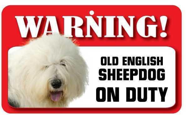 DS054 Old English Sheepdog Pet Sign
