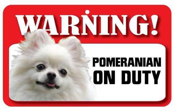 DS058 Pomeranian Pet Sign