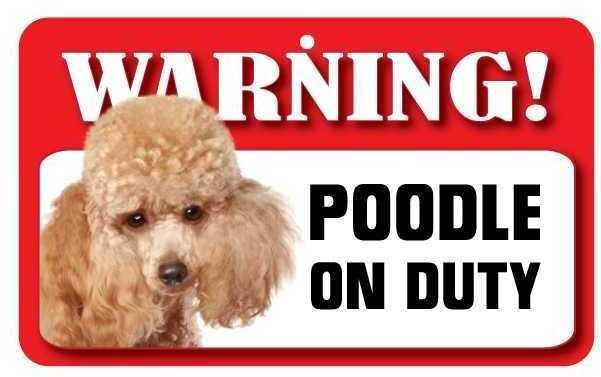 DS060 Toy Poodle Pet Sign