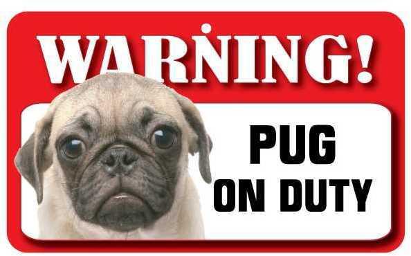 DS062 Pug Pet Sign