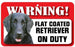 DS063 Flat Coated Retriever Pet Sign