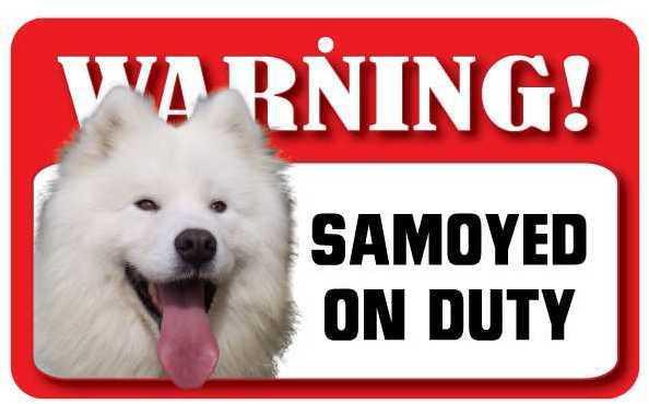 DS066 Samoyed Pet Sign