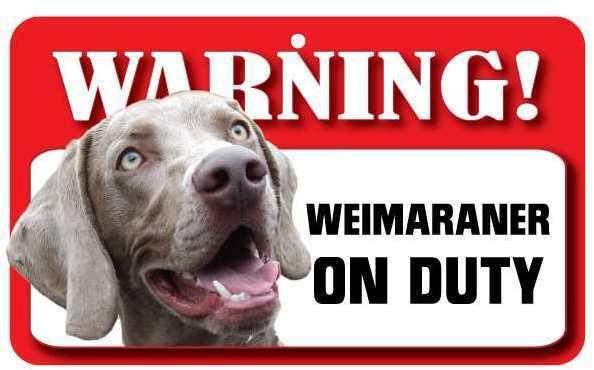 DS077 Weimaraner Pet Sign