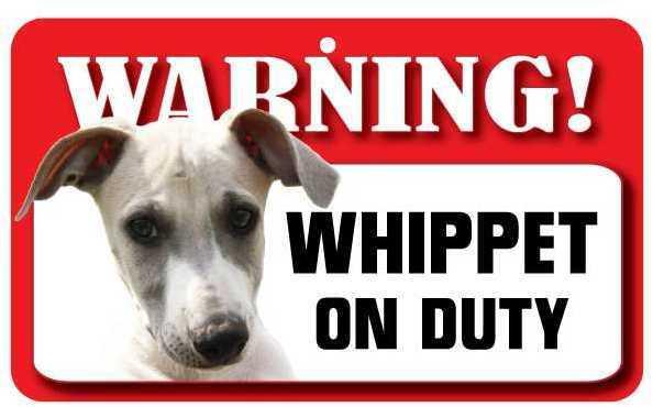 DS080 Whippet Pet Sign