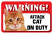 Ginger Cat Warning