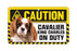 Cavalier King Charles  Blenheim Caution