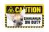 Chihuahua (Smooth Coat)