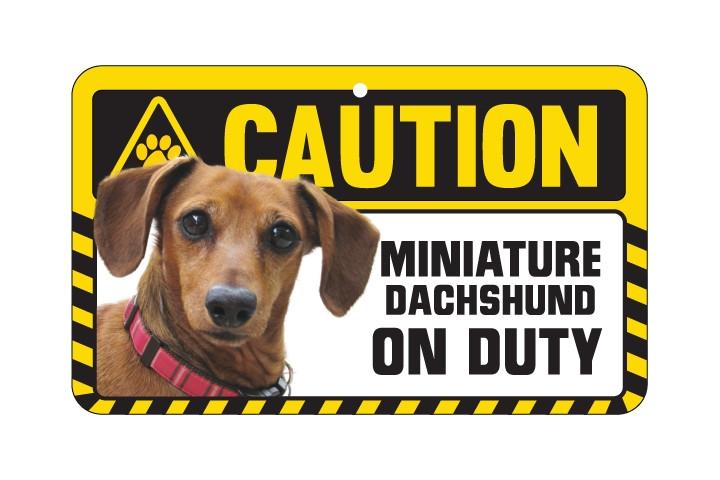Dachsund Smooth Haired Caution Sign