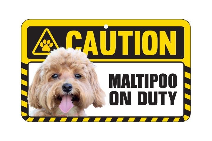 Maltipoo  Caution Sign