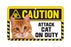 Ginger Cat Caution