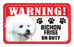 Bichon Frise