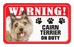 Cairn Terrier