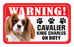 Cavalier (Blenheim)