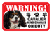Cavalier (Tricolour)
