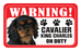 Cavalier (Ruby)