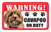Cavapoo