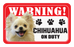 Chihuahua (Long Haired)