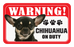 Chihuahua (Multi-Coloured)