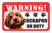 Cockapoo