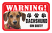 Dachshund (Smooth)