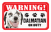 Dalmatian