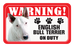English Bull Terrier