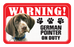 German Shorthaired Pointer
