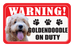 Goldendoodle