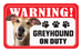 Greyhound