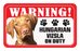 Hungarian Vizsla